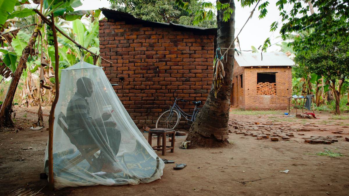 El peligro acecha fuera