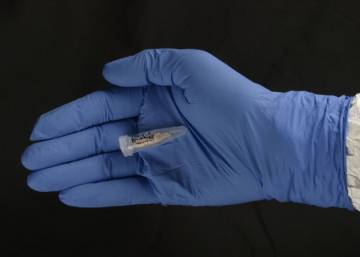 El ADN humano más antiguo pone “patas arriba” la evolución El ADN humano más antiguo pone “patas arriba” la evolución