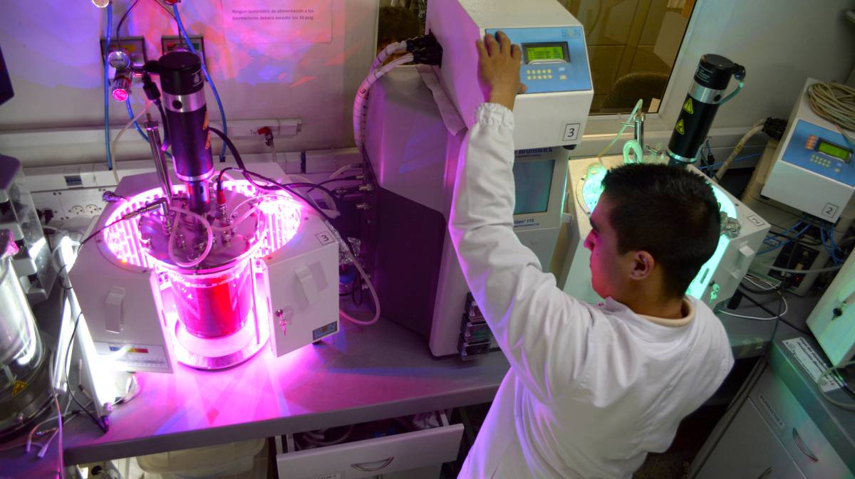 ¿Vendrá el chocolate del futuro de un laboratorio?