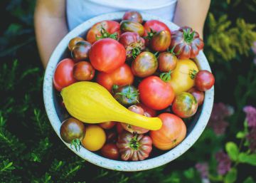 En esta comida ecológica sí merece la pena rascarse el bolsillo