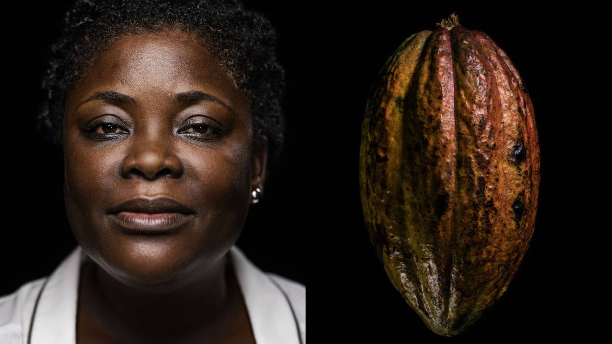 La libertad huele a cacao