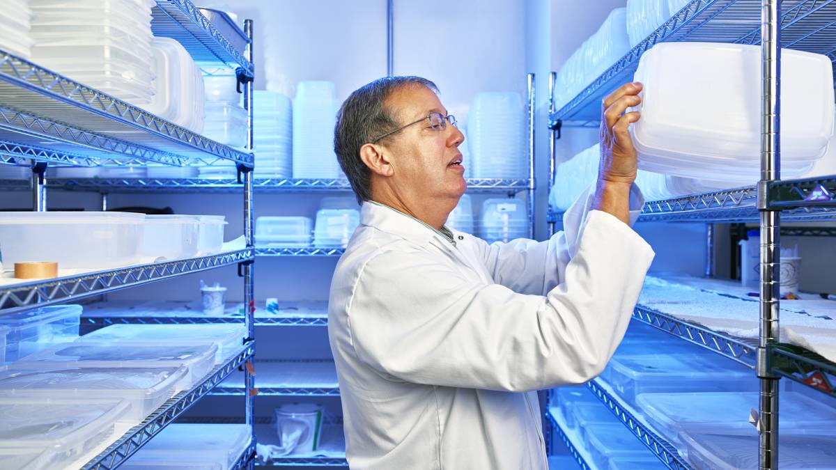 Jugar a la evolución (3)