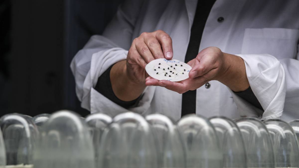 El Tío Sam abre la despensa