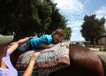 El rincón donde los caballos cuidan a los niños y los niños a los caballos