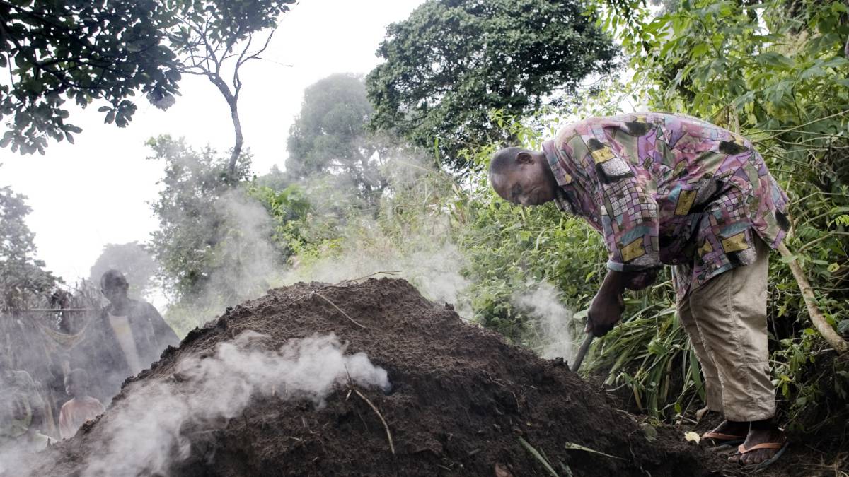 Reverdecer la leña y el carbón vegetal