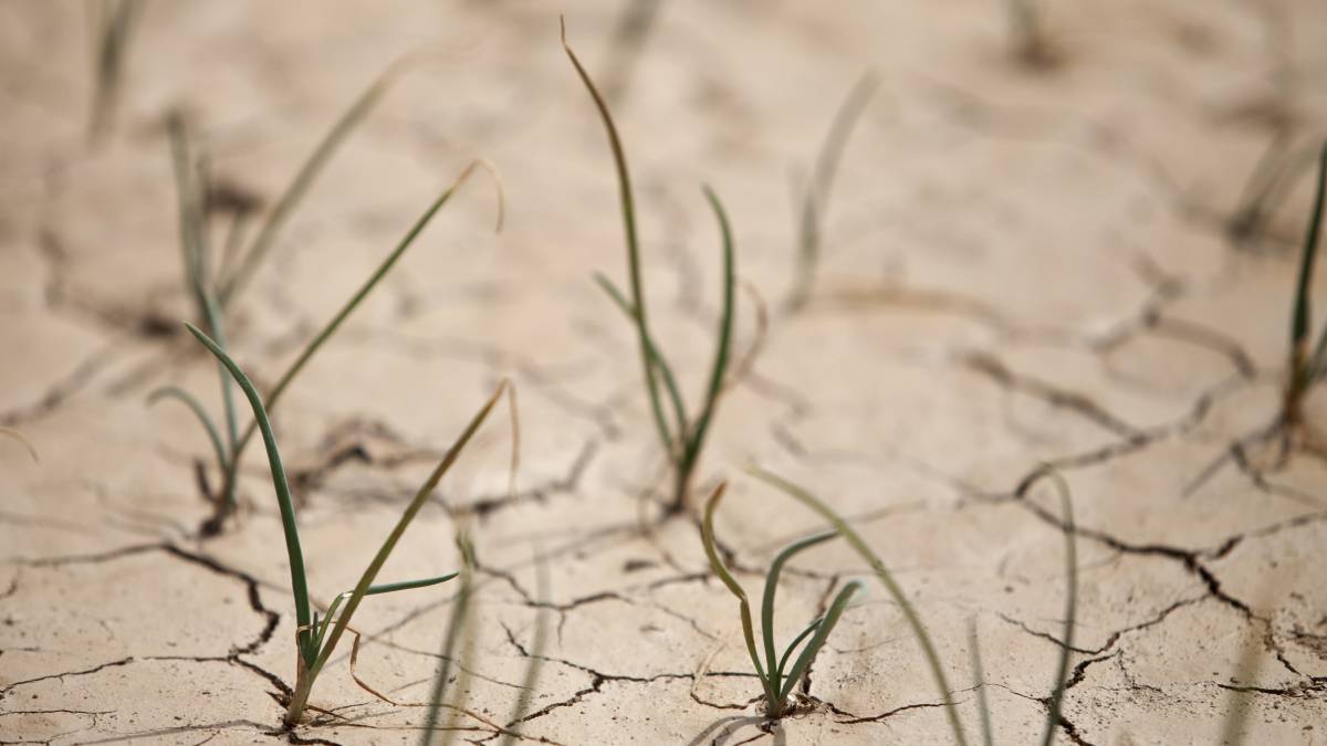 El aliado (o la amenaza) que yace bajo tierra
