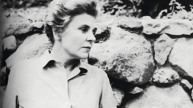 Ponga un danés en su vida