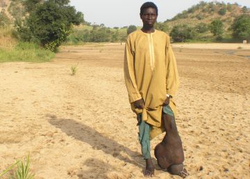 Cruzada contra el mal de la pata de elefante