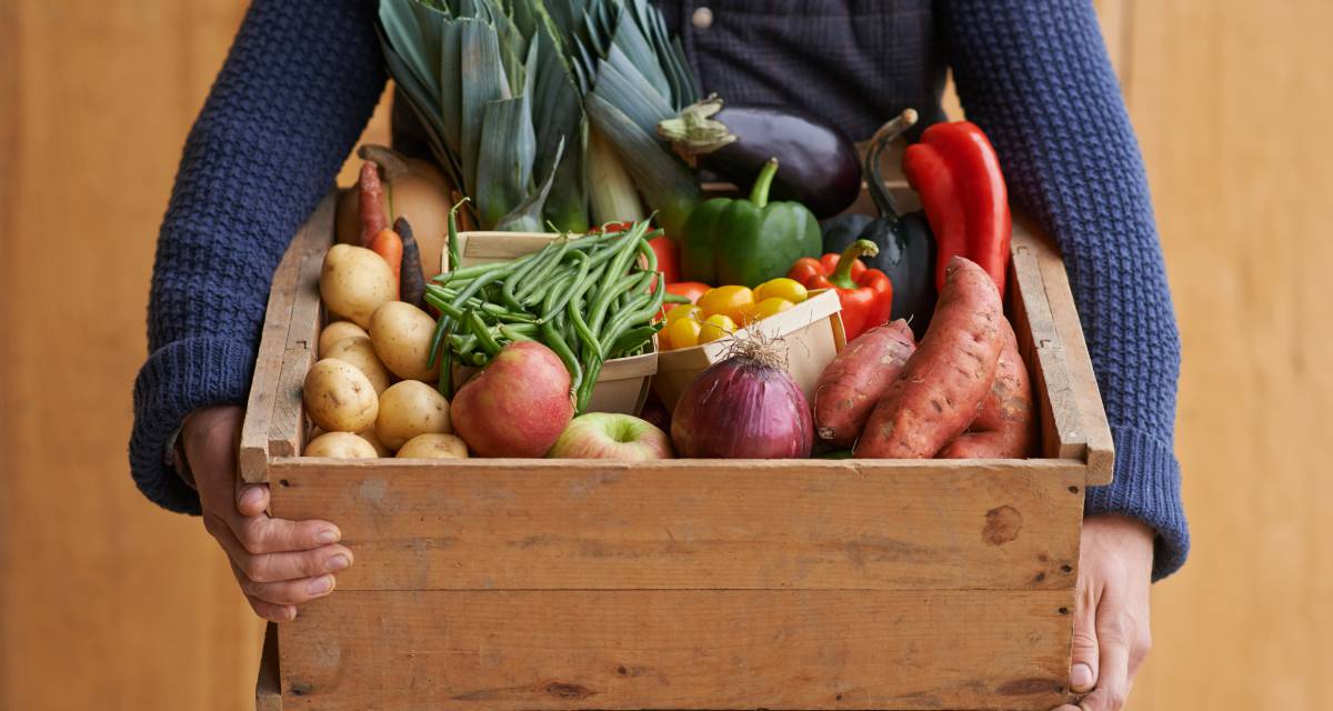 Dieta a base de frutas y proteinas