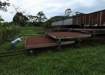 Cuando los indígenas bribris se cansaron de ser estafados