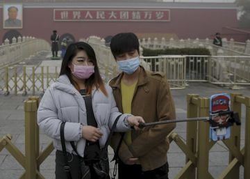 La versión macabra del efecto mariposa