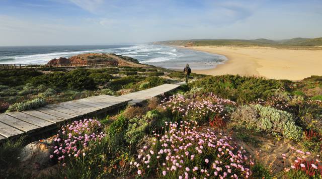 La florecida playa de Bordeira, en el Algarve.