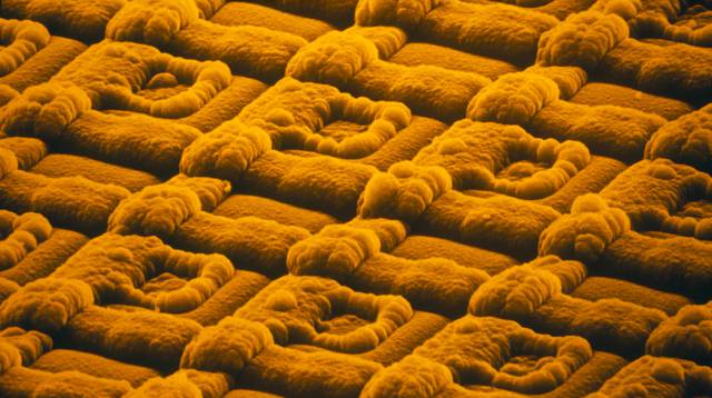 Nanochip con microscopio electrónico de barrido.