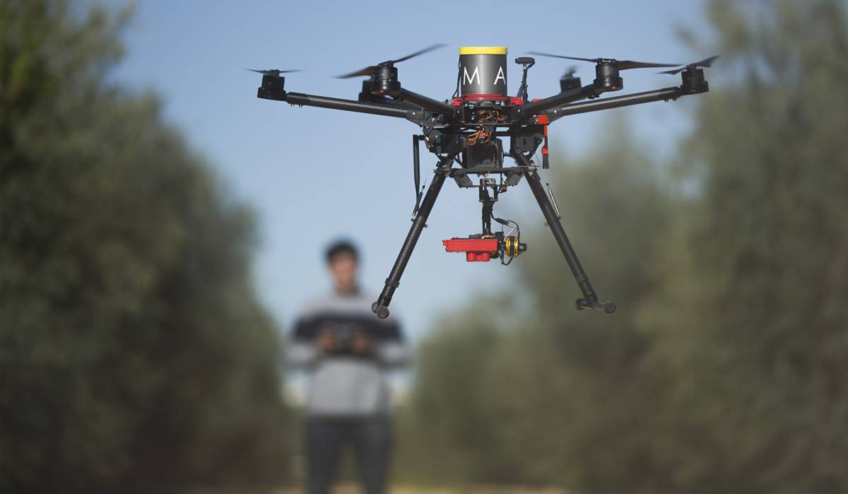 Un técnico controla un dron en una explotación agraria de Sevilla.
