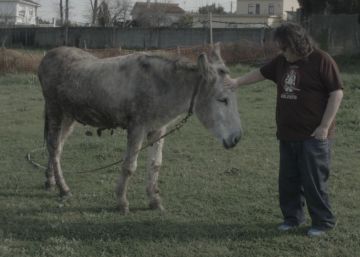 Burros y 'raves' en la aldea: así es el 'Louie' a la gallega