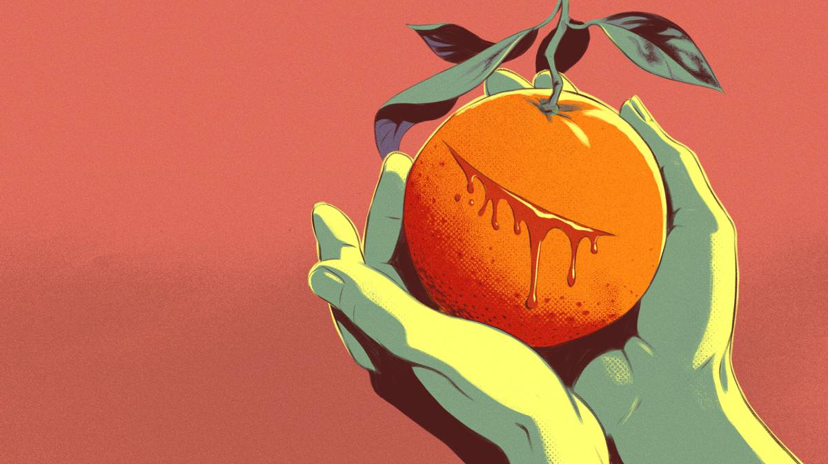 ¿Por qué ya no quedan naranjas sanguinas en Valencia?