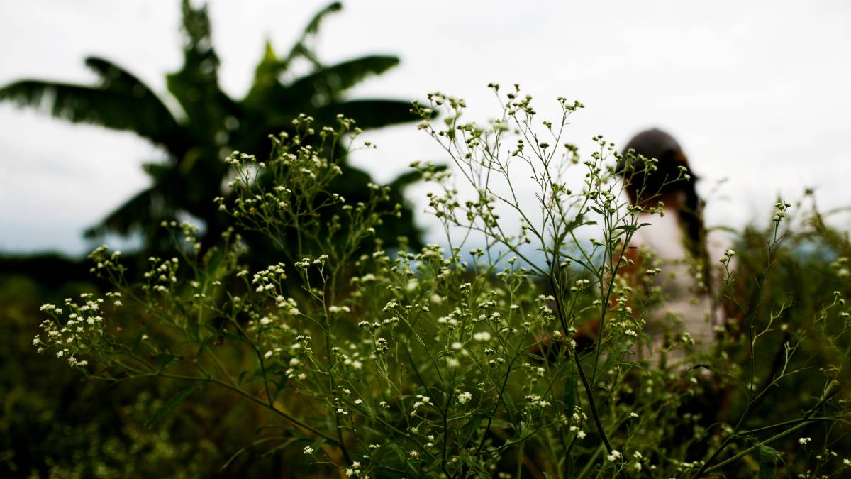 Hábitos saludables para luchar contra el calentamiento global