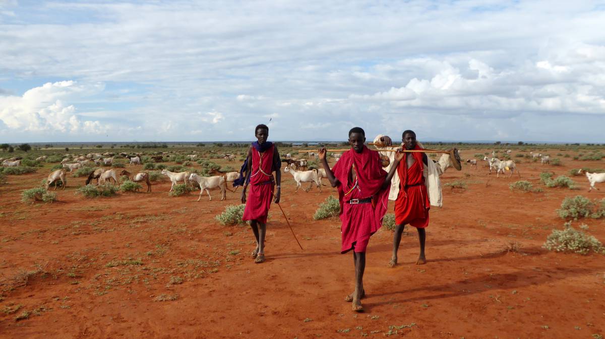 Los pastores sin pasto de Laikipia
