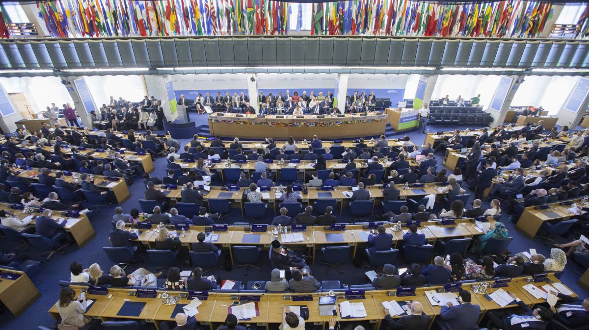 Lucha mundial contra el hambre desde Roma