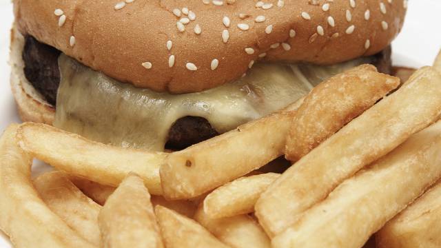 La comida basura inflama el cerebro y aumenta el apetito