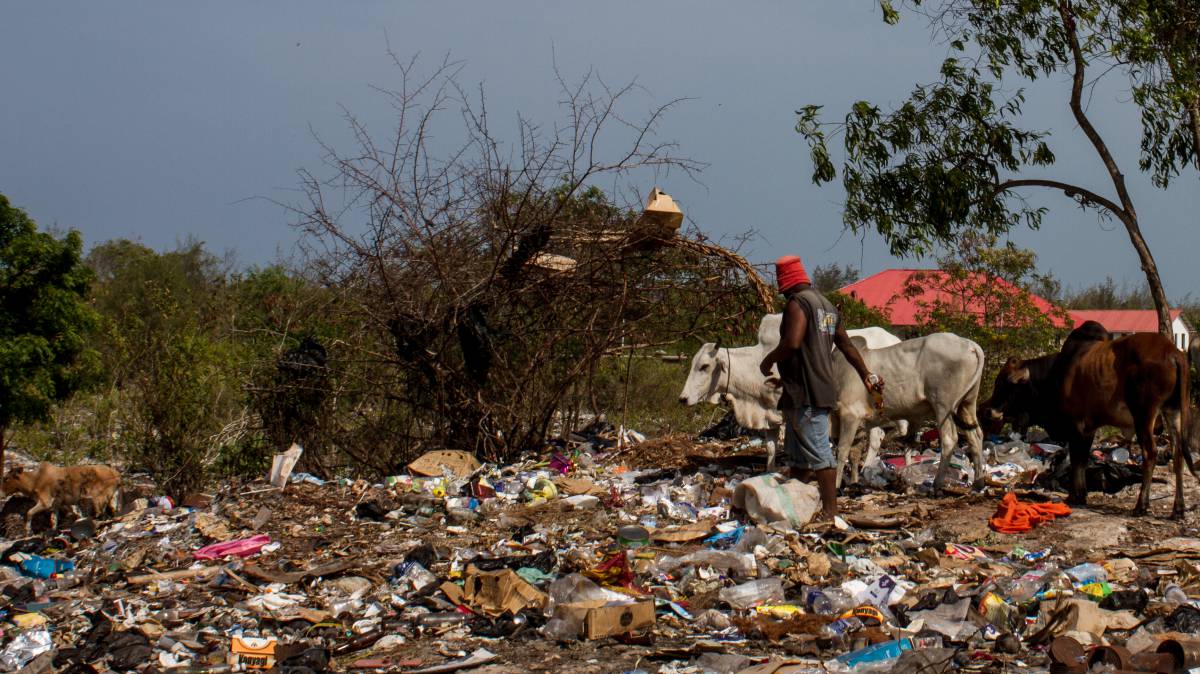Zanzíbar se pierde con tanto amor