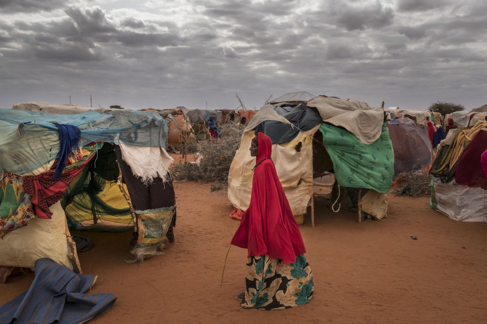 Na Somália, 739.000 pessoas precisaram deixar obrigatoriamente seus lares em busca de alimento e passaram a viver em campos de refugiados como o de Hodo, norte da Somália. As famílias, em sua maioria mulheres e crianças, levantam as cabanas com o mínimo, com pedaços de tela e plásticos.