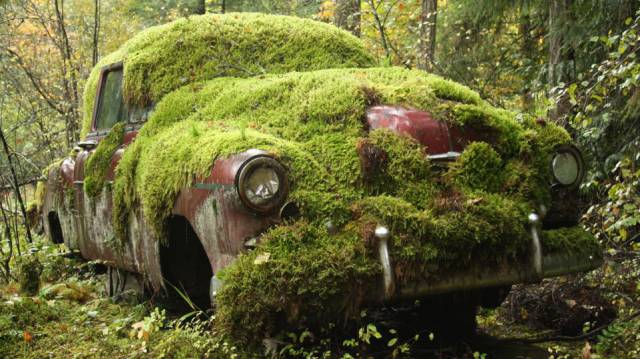 Los lugares más extraños donde puedes encontrar un coche