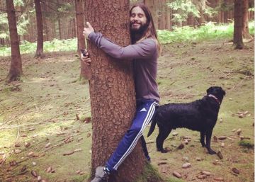 Dendrofilia: hablamos con gente que practica sexo con vegetales (y muebles)