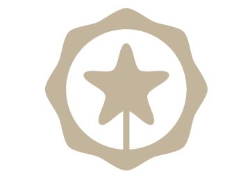 Tu gran boda extranjera en España a través de la web