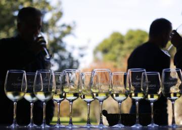 Wine consumption rises in Spain for first time in decades