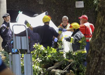 Once muertos en Madeira al caerles un árbol durante un acto religioso