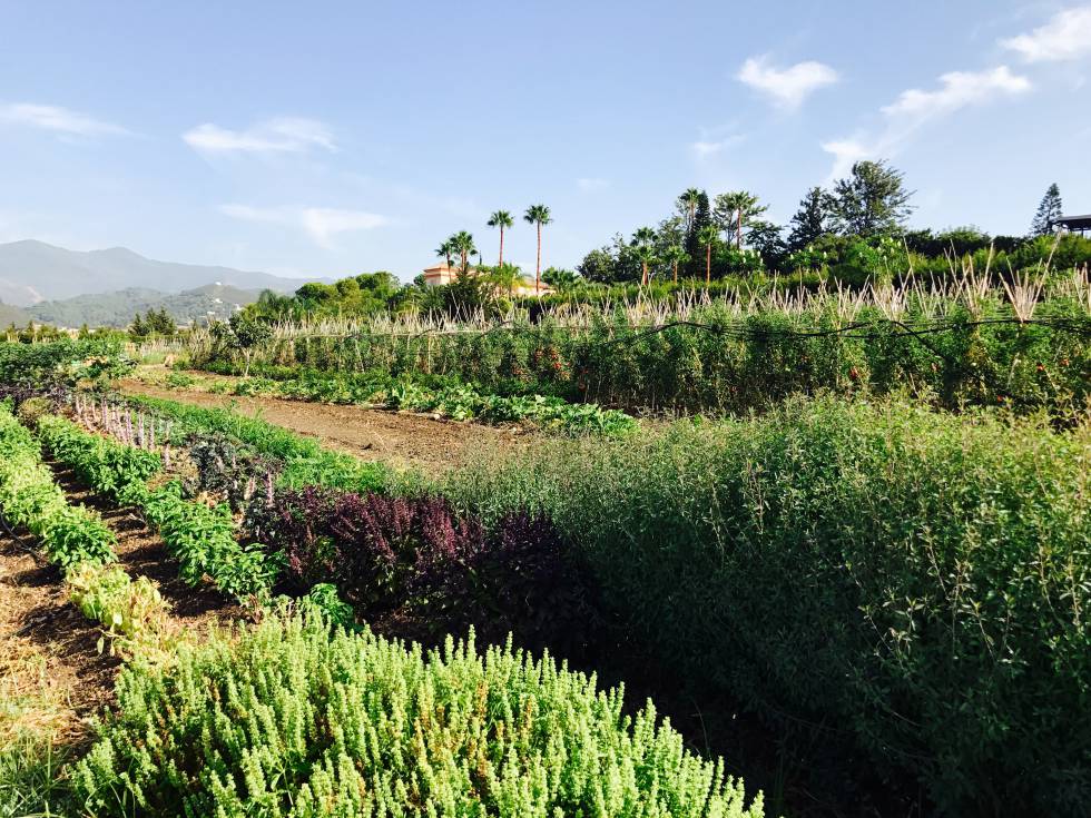 PERSPECTIVA DE LA HUERTA CAPEL