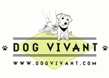 Encuentra lugares ideales para ir con tu perro