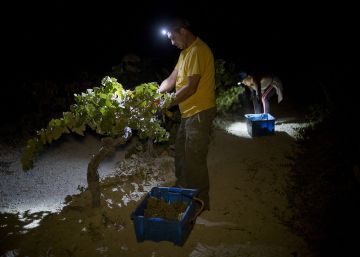 Una noche de vendimia
