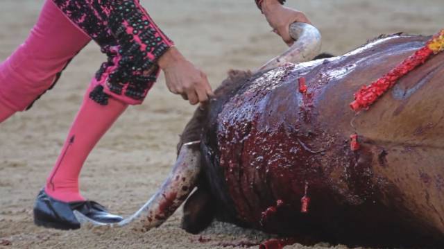 Fragmento del documental 'Tauromaquia'.