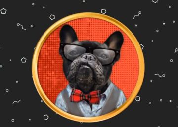 Una web para facilitar la adopción de mascotas