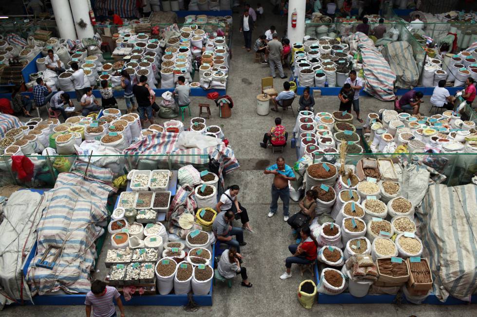 Mercado de medicina tradicional china, Bozhou. China.rn rn