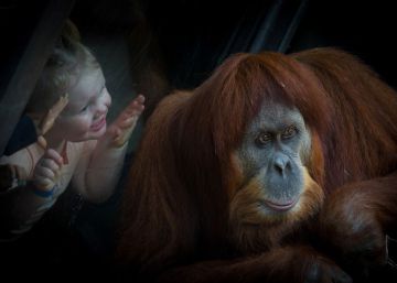 Balada para una horda