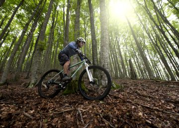Guía para comprar la bicicleta que buscas