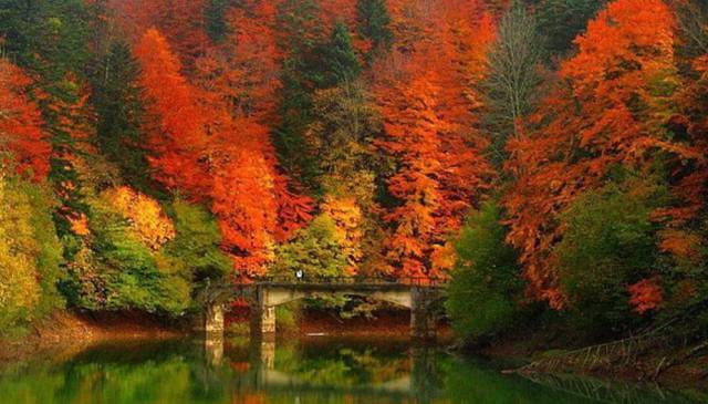 Si no te gusta el otoño es porque nunca has visitado la selva de Irati en Navarra