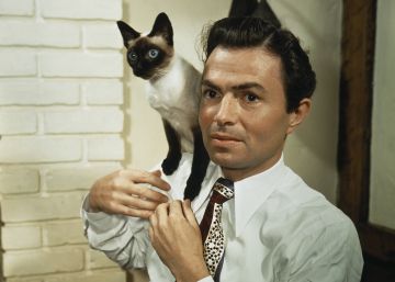 14 normas para convivir con un gato (o con dos) y ser felices los dos (o los cuatro)