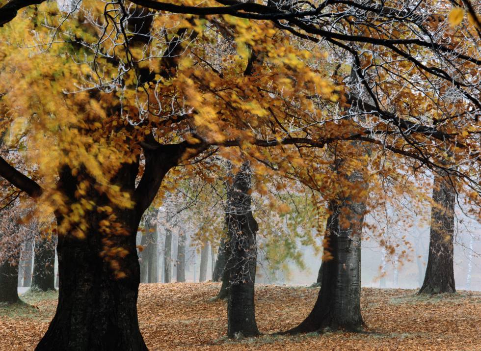 Otoño