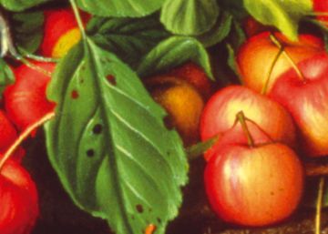 Cinco libros de esta semana