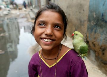 Día Mundial de la Sonrisa, 2017