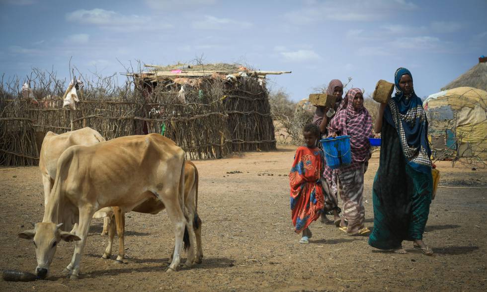 Mujeres de una comunidad pastoril en la región de Somali (Etiopía).