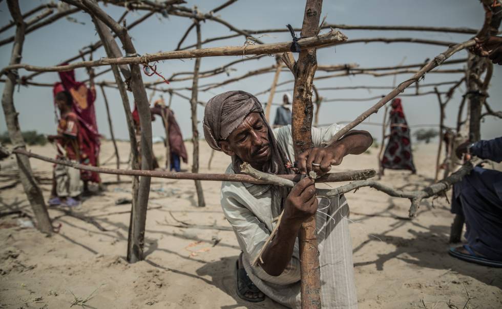 Un grupo de personas desplazadas construyendo una vivienda con palos y paja. En la comunidad de Manara, cientos de personas buscaron refugio huyendo de Boko Haram.