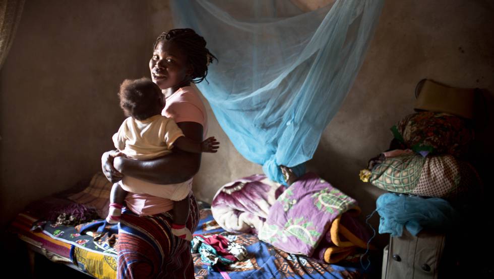 Proximo Reto Malaria En Embarazadas Planeta Futuro El Pais