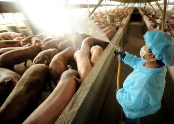 Antibióticos: una desidia que pagaremos cara