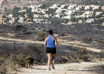 Valencia will ensure burnt land cannot be rezoned for construction