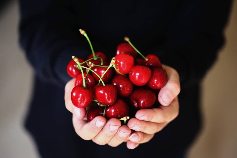 El caso Louie Fenton: cuando ser vegano es motivo de acoso escolar